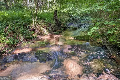 408 Mountain Creek Way #39, Ellijay, GA 30536 - Photo 9