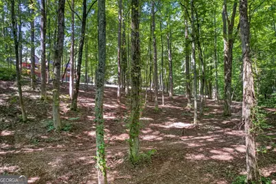 408 Mountain Creek Way #39, Ellijay, GA 30536 - Photo 13