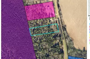 Lot 1 Harrison Davisboro Rd, Davisboro, GA 31018 - Photo 1