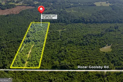 1 Rozar Goolsby Rd, Eastman, GA 31023 - Photo 1