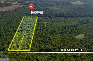 1 Rozar-Goolsby Rd, Eastman, GA 31023 - Photo 1