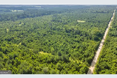 1 Rozar Goolsby Rd, Eastman, GA 31023 - Photo 7