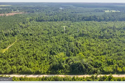 1 Rozar Goolsby Rd, Eastman, GA 31023 - Photo 11