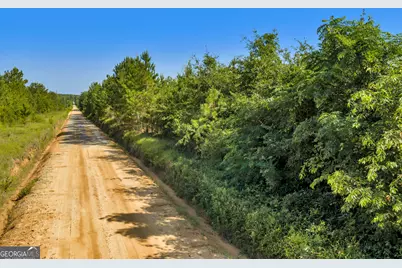 1 Rozar Goolsby Rd, Eastman, GA 31023 - Photo 5