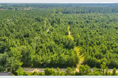 1 Rozar Goolsby Rd, Eastman, GA 31023 - Photo 3