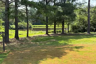 852 Mobley Bridge Rd, Hogansville, GA 30230 - Photo 3