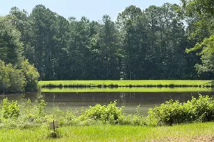 852 Mobley Bridge Rd, Hogansville, GA 30230 - Photo 41