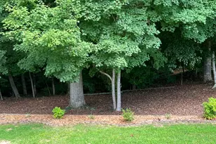 139 Laurel Creek Ct, Carrollton, GA 30117 - Photo 21