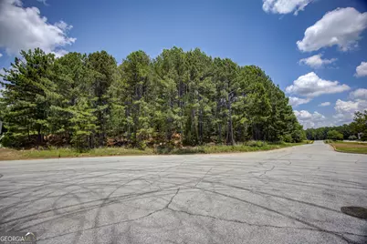 2060 NE East Park Drive, Conyers, GA 30013 - Photo 1