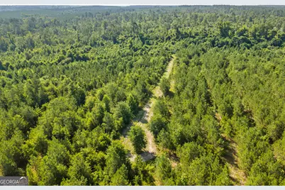 6 Rozar Goolsby Rd, Eastman, GA 31023 - Photo 9