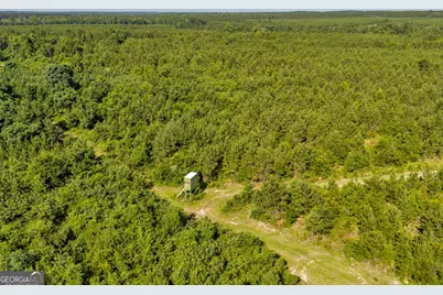 6 Rozar Goolsby Rd, Eastman, GA 31023 - Photo 3