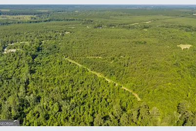 6 Rozar Goolsby Rd, Eastman, GA 31023 - Photo 15