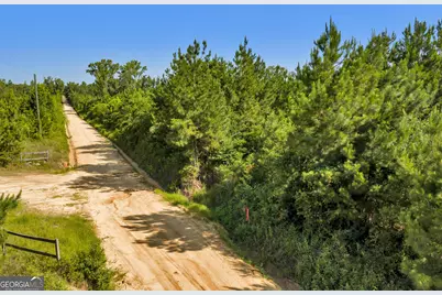6 Rozar Goolsby Rd, Eastman, GA 31023 - Photo 5