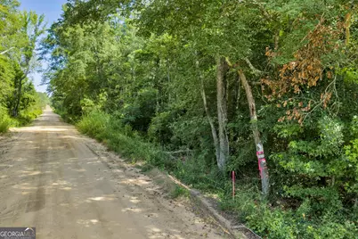 6 Rozar Goolsby Rd, Eastman, GA 31023 - Photo 17