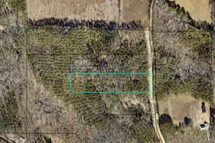 Tract 3 Bolton Rd, Zebulon, GA 30295 - Photo 1
