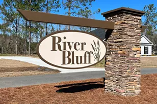 660 Belfast Loop, Ellabell, GA 31308 - Photo 3