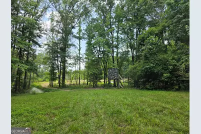000 Court Ground, Washington, GA 30673 - Photo 21