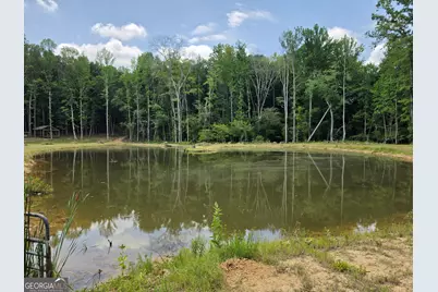 000 Court Ground, Washington, GA 30673 - Photo 17
