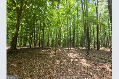 000 Court Ground, Washington, GA 30673 - Photo 7