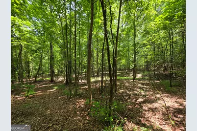 000 Court Ground, Washington, GA 30673 - Photo 31