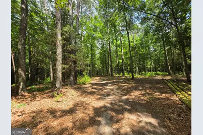 000 Court Ground, Washington, GA 30673 - Photo 39