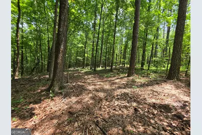 000 Court Ground, Washington, GA 30673 - Photo 5