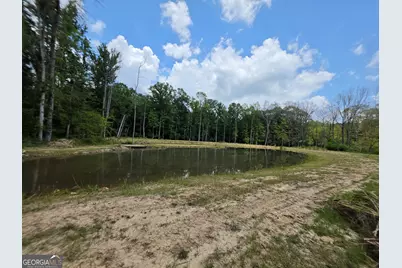 000 Court Ground, Washington, GA 30673 - Photo 13