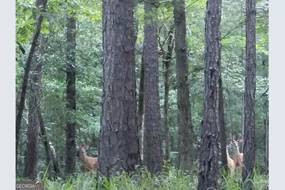 000 Court Ground, Washington, GA 30673 - Photo 45