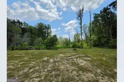 000 Court Ground, Washington, GA 30673 - Photo 19