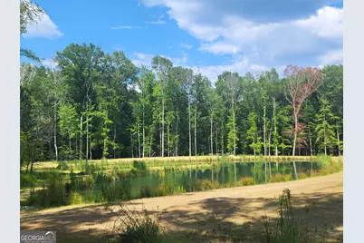 000 Court Ground, Washington, GA 30673 - Photo 15
