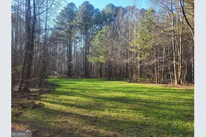 000 Court Ground, Washington, GA 30673 - Photo 43