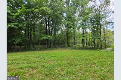 000 Court Ground, Washington, GA 30673 - Photo 23
