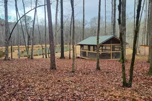 000 Ct Ground, Washington, GA 30673 - Photo 1