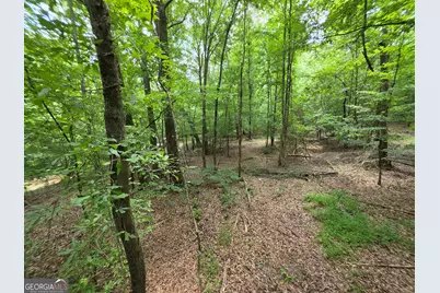000 Court Ground, Washington, GA 30673 - Photo 33