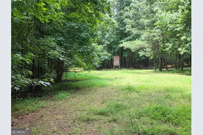 000 Court Ground, Washington, GA 30673 - Photo 25