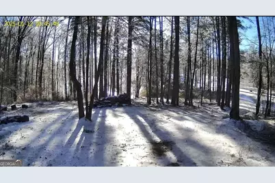 141 Cove Lake Drive, Marble Hill, GA 30148 - Photo 3