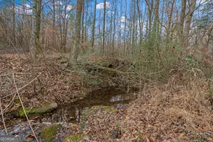 976 Salem Church Rd, Carrollton, GA 30117 - Photo 61