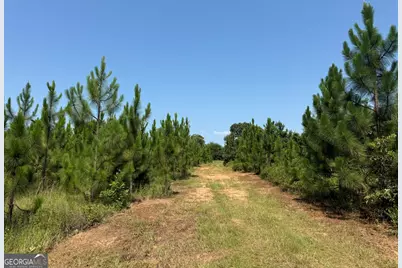 001A Barge Rd, Lumpkin, GA 31815 - Photo 3