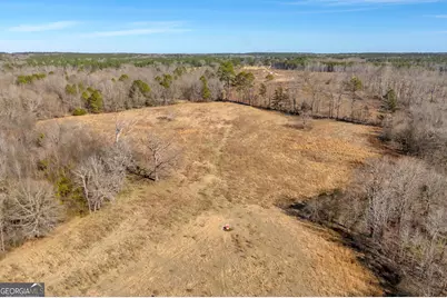 1681 Sibley School Road, Greensboro, GA 30642 - Photo 23