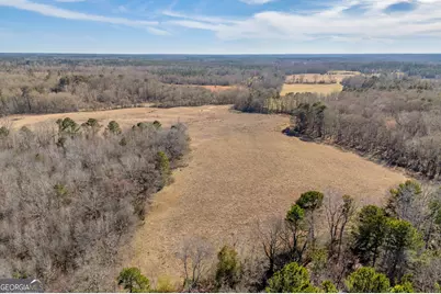 1681 Sibley School Road, Greensboro, GA 30642 - Photo 25