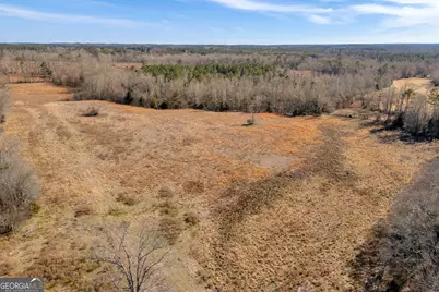 1681 Sibley School Road, Greensboro, GA 30642 - Photo 19