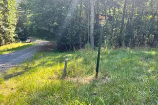 0 Alpine 3625 Dr, Ellijay, GA 30540 - Photo 1