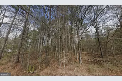 0 Prior Station Road, Cedartown, GA 30125 - Photo 1