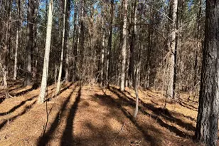 1107 Larmon Forks Rd, Dahlonega, GA 30533 - Photo 1