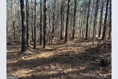 1107 Larmon Forks Road, Dahlonega, GA 30533 - Photo 7