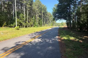 41 Elton Stewart Rd, Carlton, GA 30627 - Photo 1