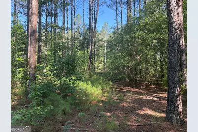 41 Elton Stewart Road, Carlton, GA 30627 - Photo 3