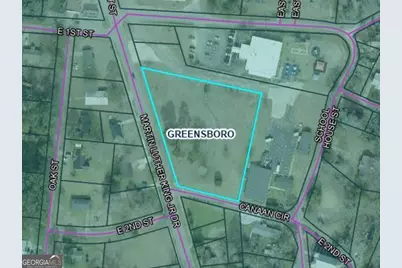 N/A Martin Luther King Drive, Greensboro, GA 30642 - Photo 1