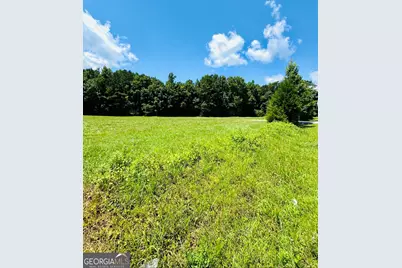 0 Willowood Road, Lagrange, GA 30241 - Photo 3