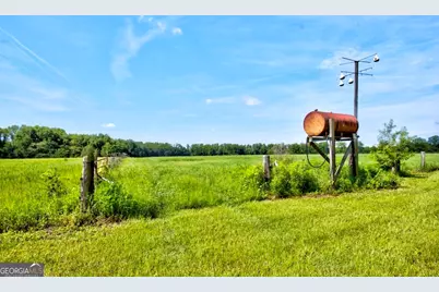 1034 Cecil Tyre Road, Bristol, GA 31518 - Photo 47